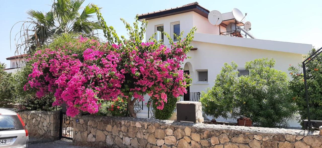 Villa Bougainvillea With Privite Pool Vasilia 외부 사진