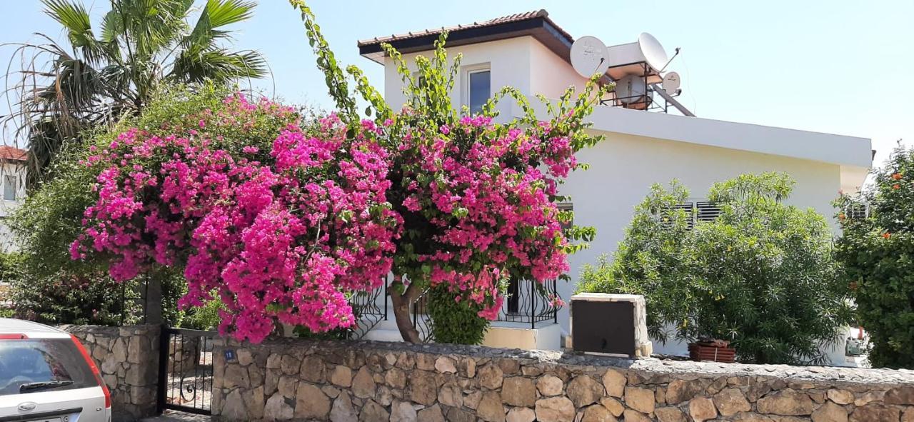 Villa Bougainvillea With Privite Pool Vasilia 외부 사진