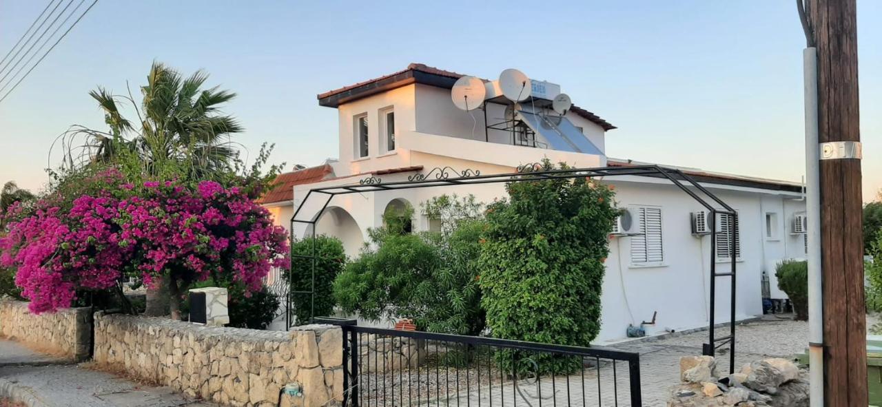 Villa Bougainvillea With Privite Pool Vasilia 외부 사진
